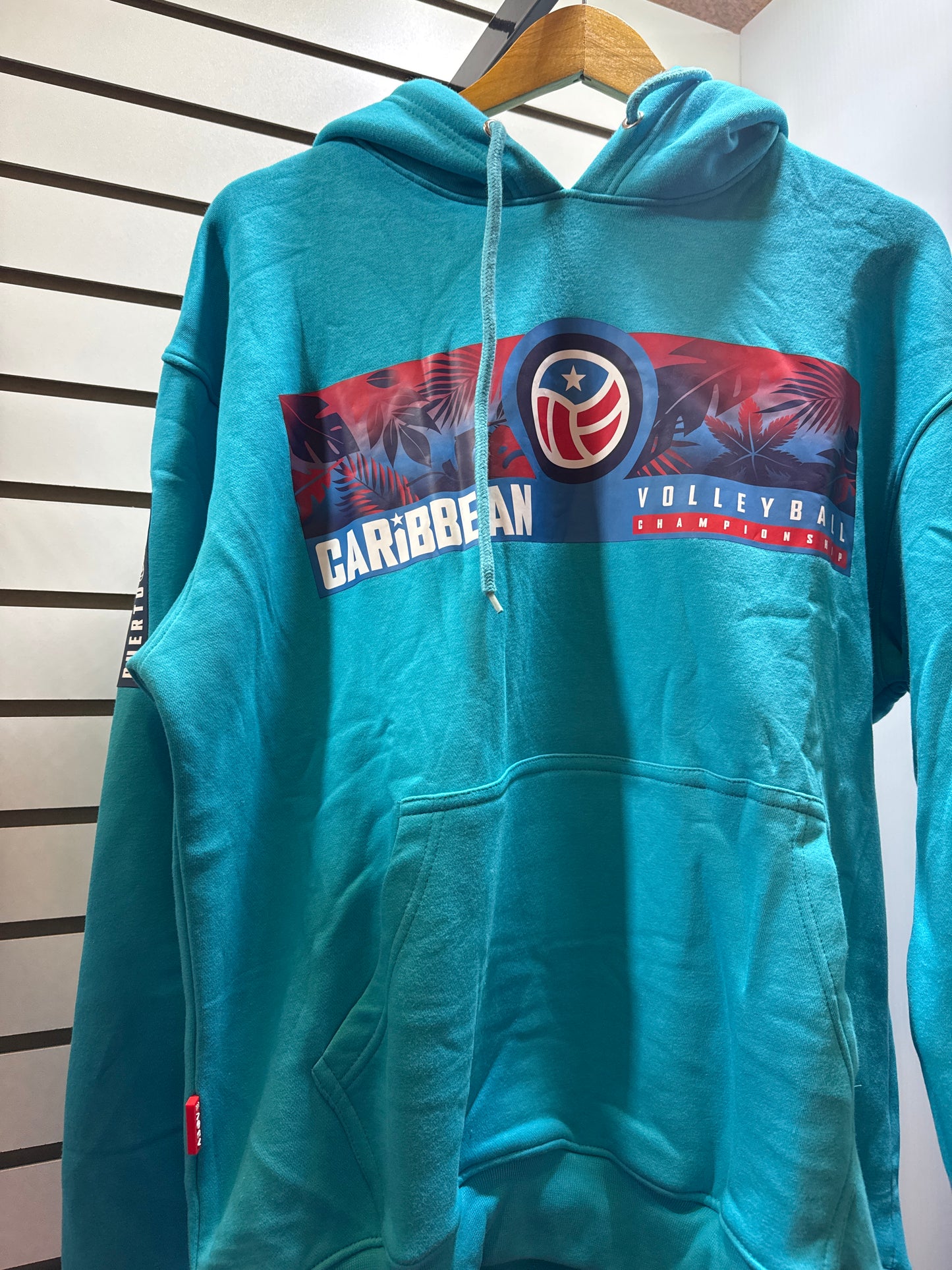 CVC Hoodie Teal